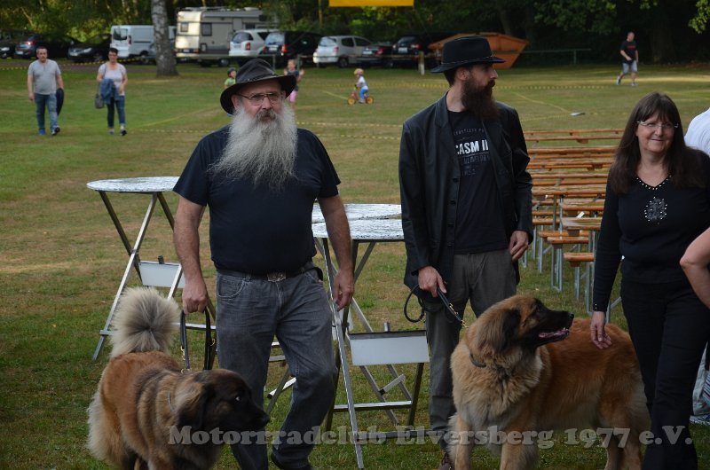 Sommertreffen 2019 - 024